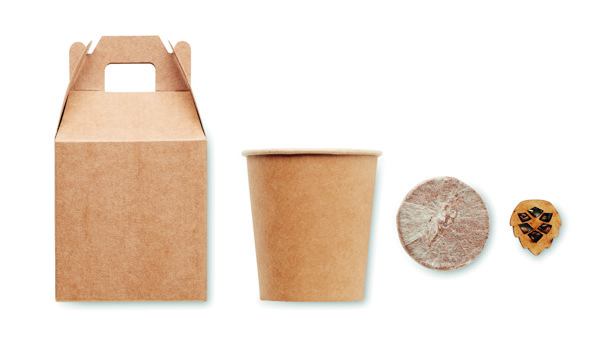 Growtree pine seed set, paper, made in EU