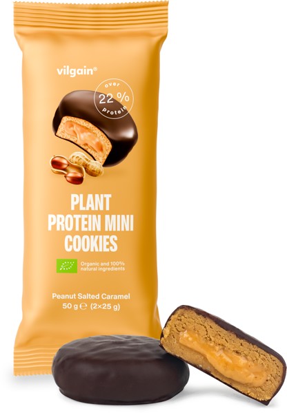 Vilgain Organic Plant Protein Mini Cookies 50 g (2 x 25 g) Salted caramel peanut *
