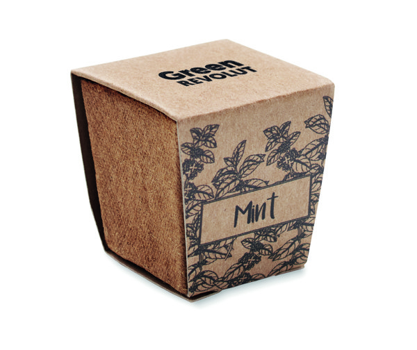 Mint grow kit biodegradable pot, soil tablet