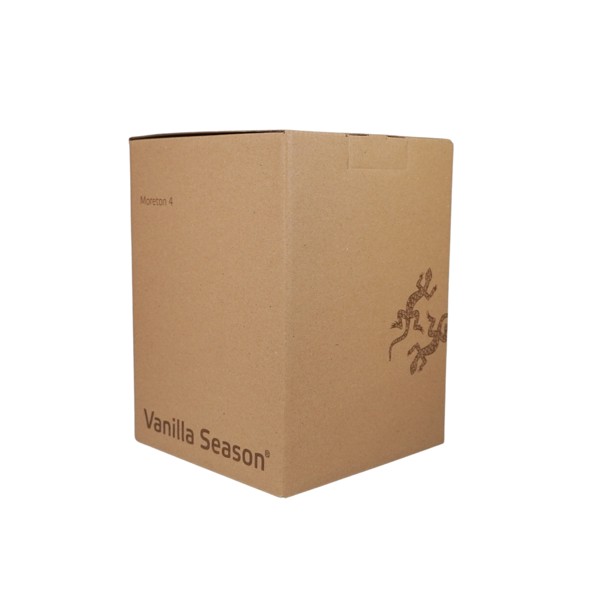 MORETON 4er Set Bohemia Crystal Weißweingläser