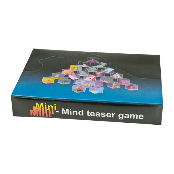 Puzzle Game Albany