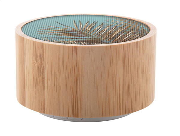 Haut-parleur sans fil Bambeat