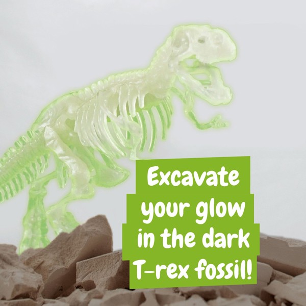 Fossil Excavation Kit I. Jeu éducatif pour enfants