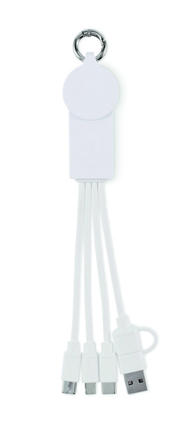 2 in 1 charging cable type-C Icab