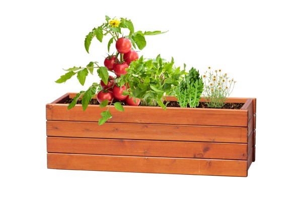 Herb Growing Kit Tomarux