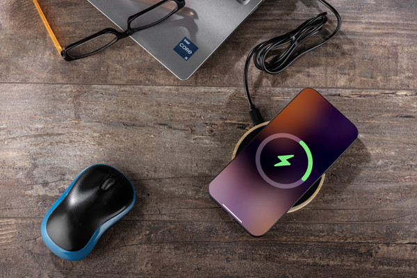 Inductive charger FRESTI