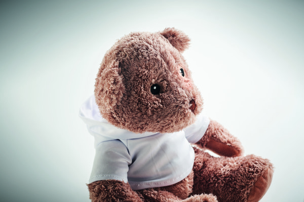 Teddy bear plush John
