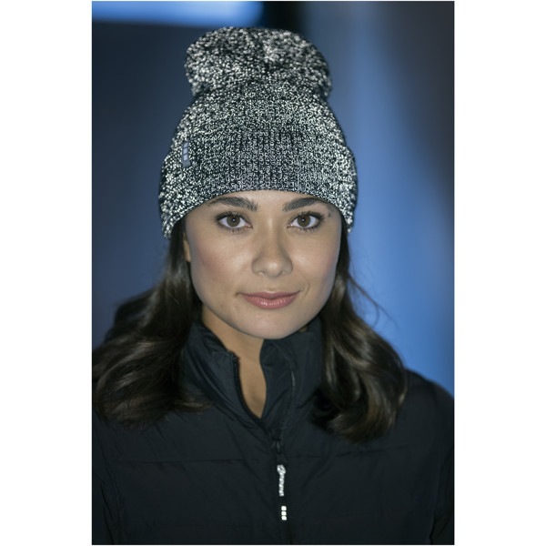 Rigi reflective beanie