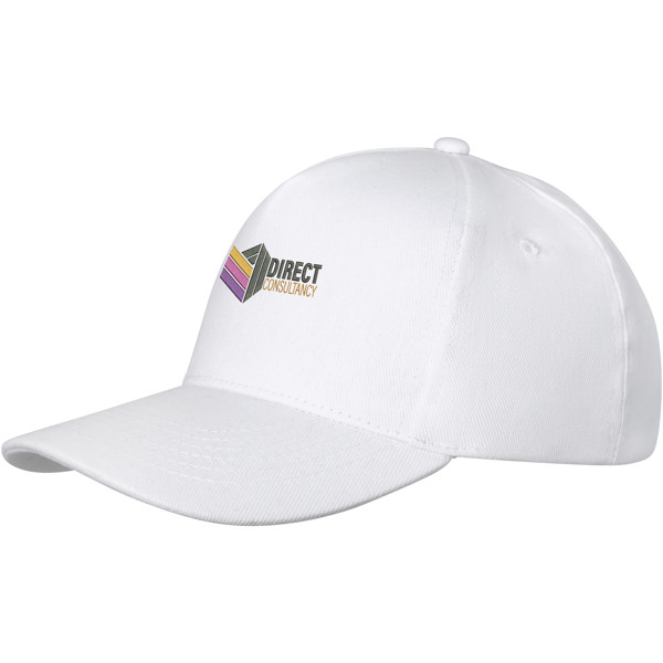 Doyle 5 panel cap - White