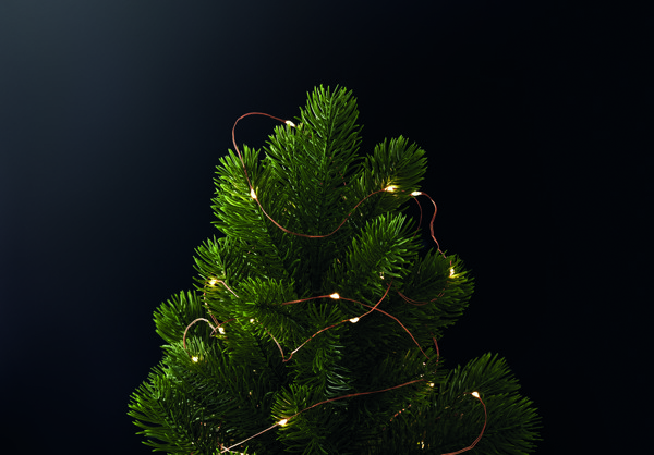 LED fairy lights string 5m