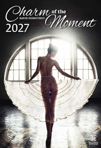 Nástěnný kalendář Charm of the Moment 2027