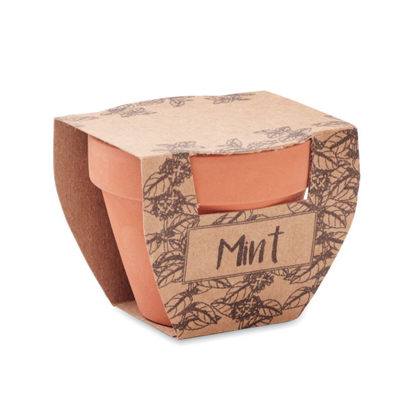 Komplet zelišč Mint Pot iz terakote, 60x55x50 mm