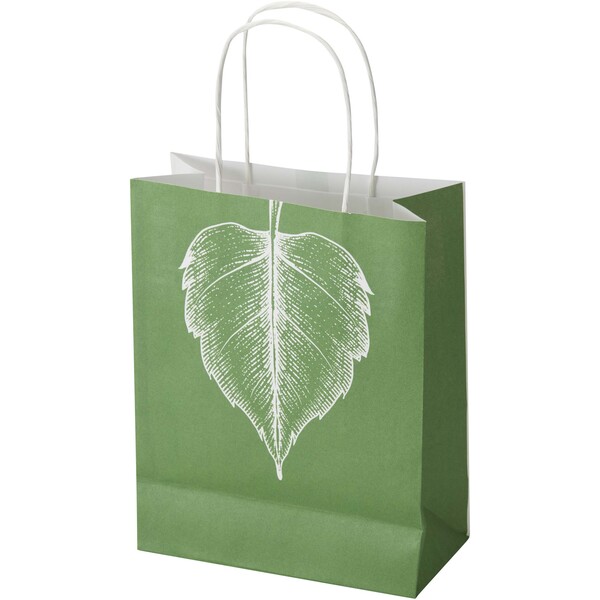 Kraft 120 g/m2 paper bag with twisted handles - 18 x 9 x 23 cm - White