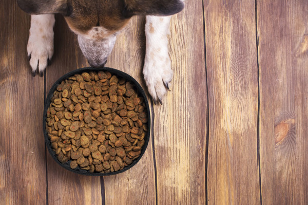 Dog Bowl Vurex