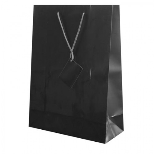 BOLSA PRESENTE PLASTIFICADA "ABBY" -
