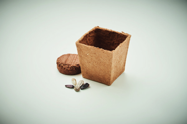 Sunflower grow kit biodegradable pot, soil tablet