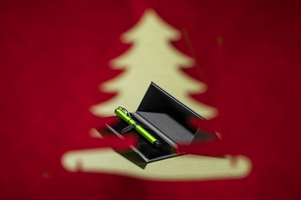 Pen case E31