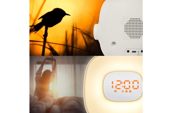 ML-198 | Muse wake up light FM-Radio