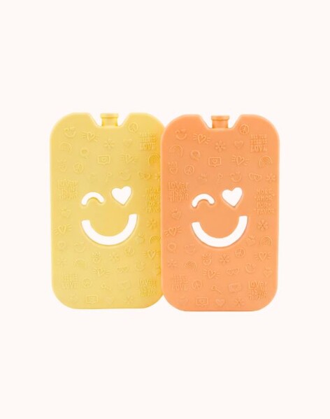Lot de 2 Pain de Glace Polarbox 