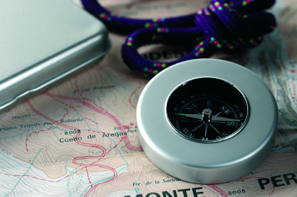 Target nautical compass