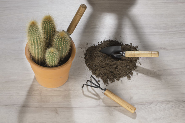Mini garden tools set FLOWER