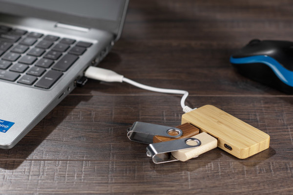 Bamboo splitter USB HUB with replaceable plug - RIVO