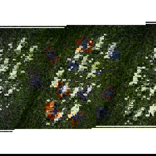 Plush elephant, keyring | Hugo