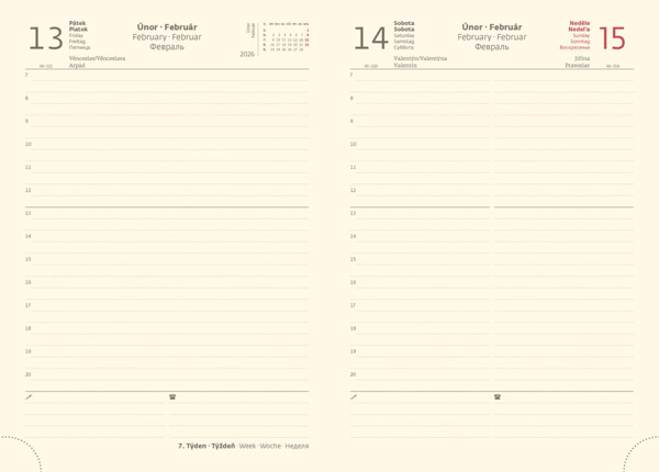 Denný diár A5 Cork s pútkom