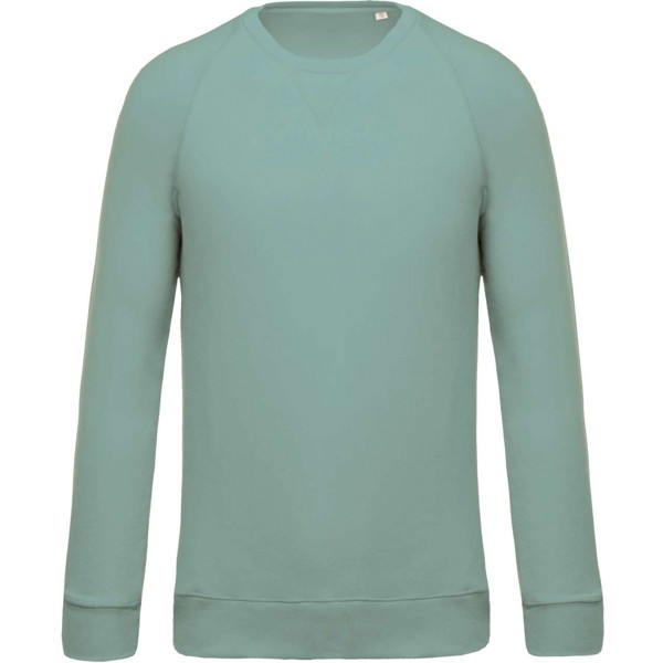 Men's Organic Cotton Crew Neck Raglan Sleeve Sweatshirt - Sage / S