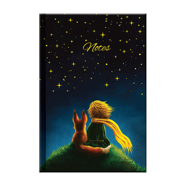 Notes Little Prince