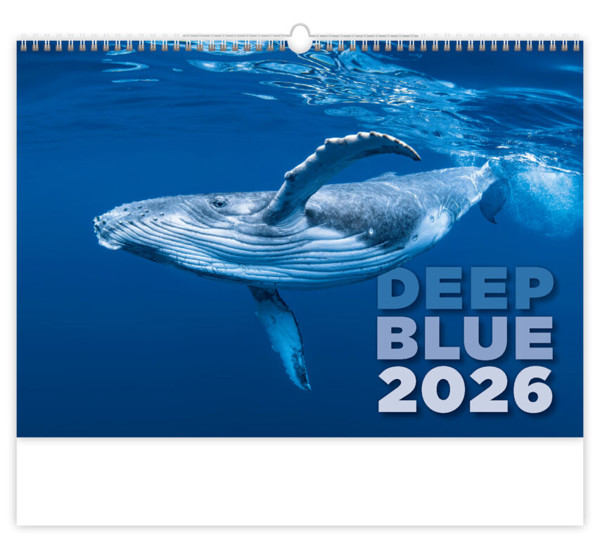 Nástěnný kalendář Deep Blue 2026