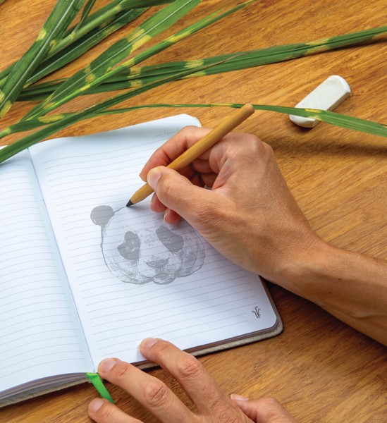 Xd Collection bamboo pencil, graphite tip 20000m
