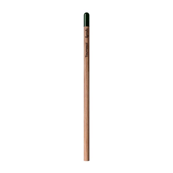 Sprout | Pencil - Thyme Written In French