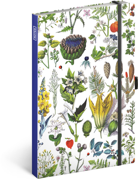 Notique Notes Bylinky Kateřiny Winterové, Tečkovaný, 13 x 21 cm
