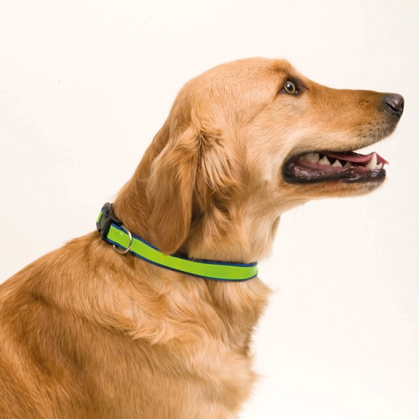 Collar Muttley - Negro
