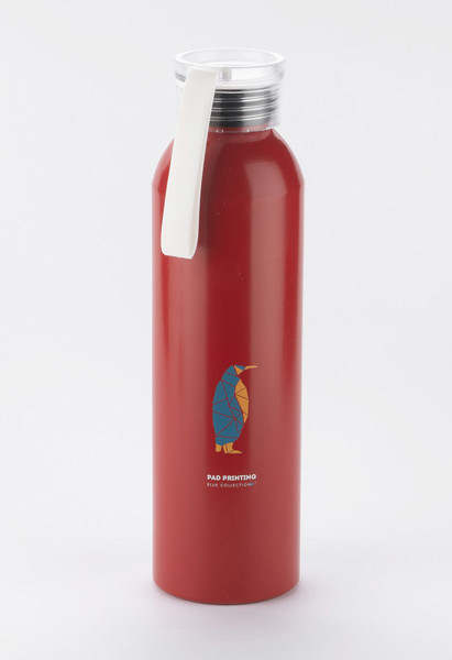 Aluminum bottle ALLUMI 650 ml - red