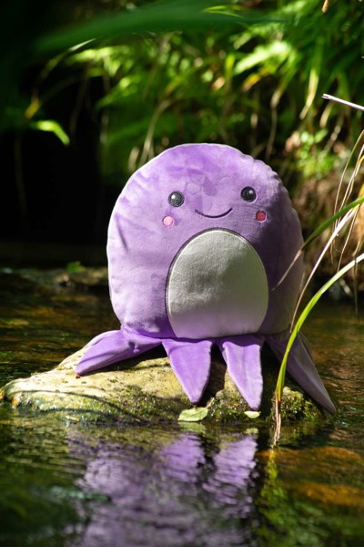 Squidgy's - Squidgy Ginger Cat