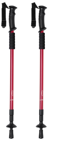 Walking Poles Set Brulen - Silver
