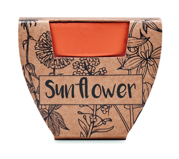 Terracotta pot 'sunflower'
